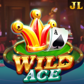 Wild Ace - Jillbb App